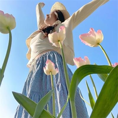 干支魂:猫客万来海报